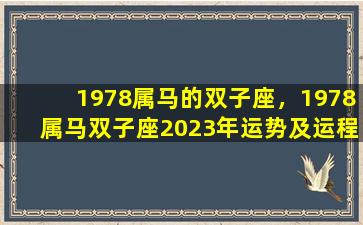 1978属马的双子座，1978属马双子座2023年运势及运程详解视频