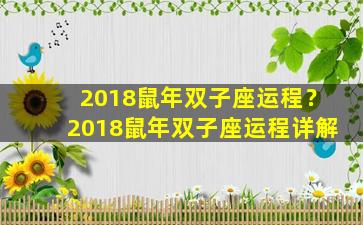 2018鼠年双子座运程？2018鼠年双子座运程详解