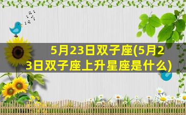 5月23日双子座(5月23日双子座上升星座是什么)
