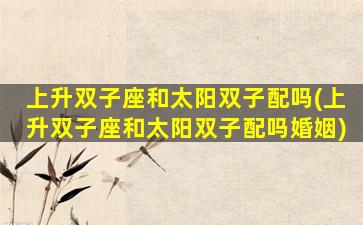 上升双子座和太阳双子配吗(上升双子座和太阳双子配吗婚姻)
