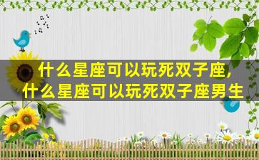什么星座可以玩死双子座,什么星座可以玩死双子座男生
