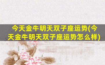 今天金牛明天双子座运势(今天金牛明天双子座运势怎么样)