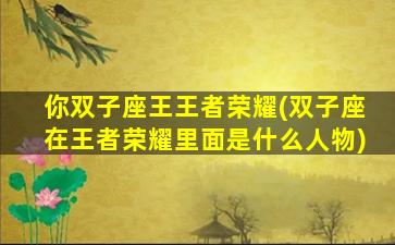 你双子座王王者荣耀(双子座在王者荣耀里面是什么人物)