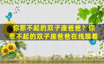 你惹不起的双子座爸爸？你惹不起的双子座爸爸在线观看