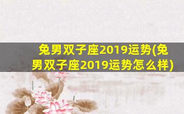 兔男双子座2019运势(兔男双子座2019运势怎么样)