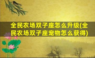 全民农场双子座怎么升级(全民农场双子座宠物怎么获得)