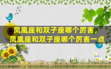 凤凰座和双子座哪个厉害，凤凰座和双子座哪个厉害一点