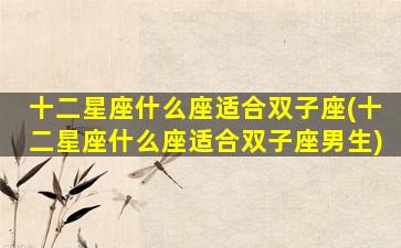 十二星座什么座适合双子座(十二星座什么座适合双子座男生)