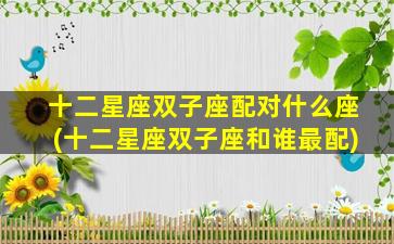 十二星座双子座配对什么座(十二星座双子座和谁最配)