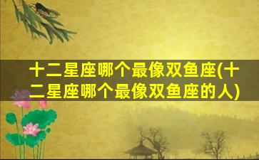 十二星座哪个最像双鱼座(十二星座哪个最像双鱼座的人)