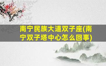 南宁民族大道双子座(南宁双子塔中心怎么回事)