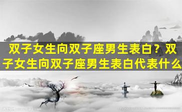 双子女生向双子座男生表白？双子女生向双子座男生表白代表什么