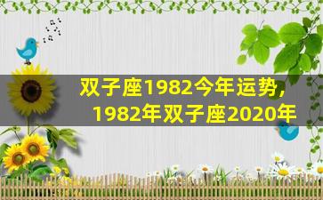 双子座1982今年运势,1982年双子座2020年