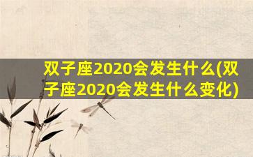 双子座2020会发生什么(双子座2020会发生什么变化)