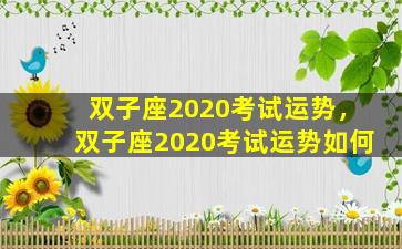 双子座2020考试运势，双子座2020考试运势如何