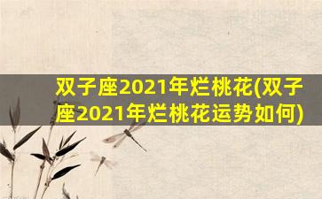 双子座2021年烂桃花(双子座2021年烂桃花运势如何)