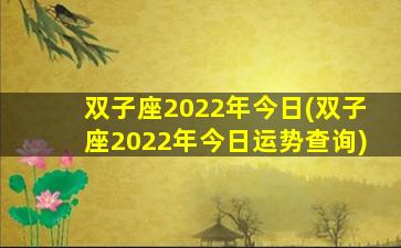 双子座2022年今日(双子座2022年今日运势查询)