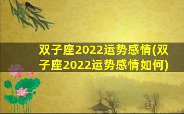 双子座2022运势感情(双子座2022运势感情如何)