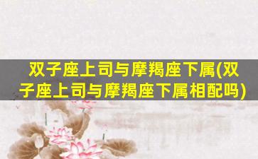 双子座上司与摩羯座下属(双子座上司与摩羯座下属相配吗)