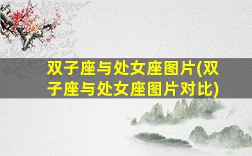 双子座与处女座图片(双子座与处女座图片对比)