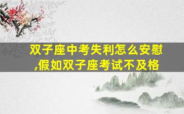 双子座中考失利怎么安慰,假如双子座考试不及格