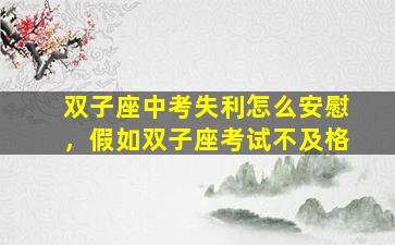 双子座中考失利怎么安慰，假如双子座考试不及格
