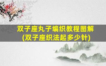 双子座丸子编织教程图解(双子座织法起多少针)