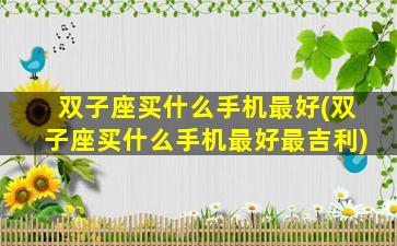双子座买什么手机最好(双子座买什么手机最好最吉利)