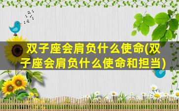 双子座会肩负什么使命(双子座会肩负什么使命和担当)