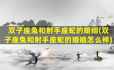 双子座兔和射手座蛇的婚姻(双子座兔和射手座蛇的婚姻怎么样)