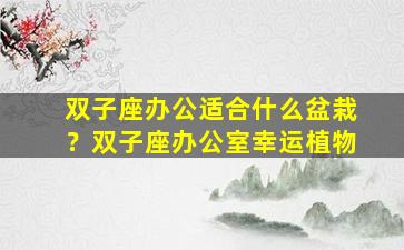 双子座办公适合什么盆栽？双子座办公室幸运植物