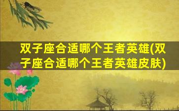 双子座合适哪个王者英雄(双子座合适哪个王者英雄皮肤)