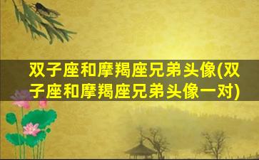 双子座和摩羯座兄弟头像(双子座和摩羯座兄弟头像一对)