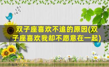 双子座喜欢不追的原因(双子座喜欢我却不愿意在一起)