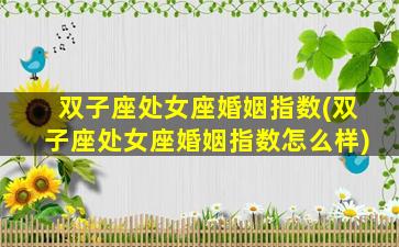 双子座处女座婚姻指数(双子座处女座婚姻指数怎么样)