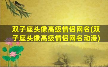 双子座头像高级情侣网名(双子座头像高级情侣网名动漫)
