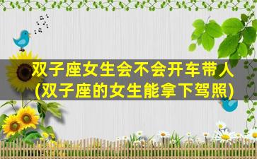 双子座女生会不会开车带人(双子座的女生能拿下驾照)