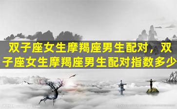 双子座女生摩羯座男生配对，双子座女生摩羯座男生配对指数多少