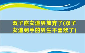 双子座女追男放弃了(双子女追到手的男生不喜欢了)