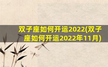 双子座如何开运2022(双子座如何开运2022年11月)