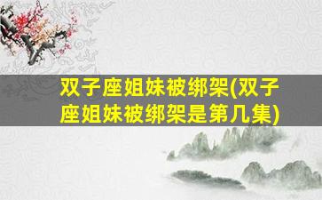 双子座姐妹被绑架(双子座姐妹被绑架是第几集)