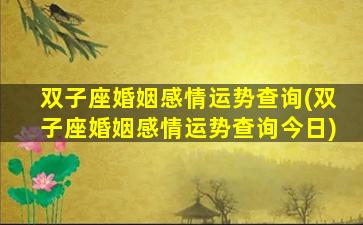 双子座婚姻感情运势查询(双子座婚姻感情运势查询今日)