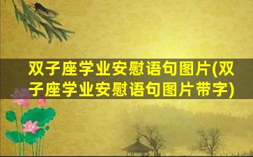 双子座学业安慰语句图片(双子座学业安慰语句图片带字)