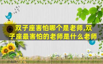 双子座害怕哪个是老师,双子座最害怕的老师是什么老师