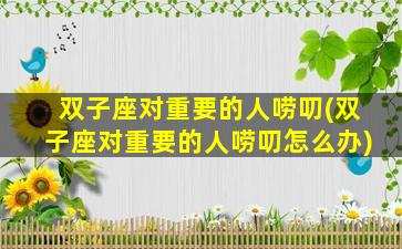 双子座对重要的人唠叨(双子座对重要的人唠叨怎么办)