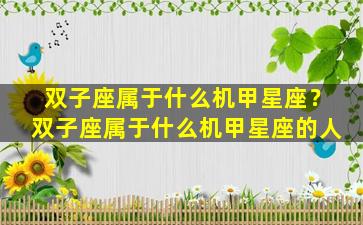 双子座属于什么机甲星座？双子座属于什么机甲星座的人