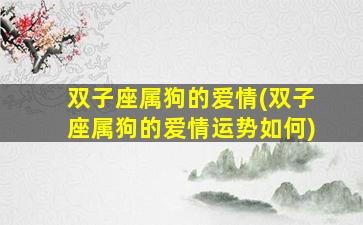 双子座属狗的爱情(双子座属狗的爱情运势如何)