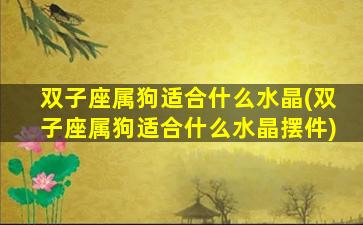 双子座属狗适合什么水晶(双子座属狗适合什么水晶摆件)