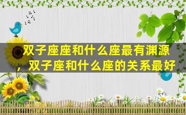双子座座和什么座最有渊源，双子座和什么座的关系最好