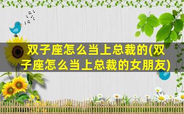 双子座怎么当上总裁的(双子座怎么当上总裁的女朋友)